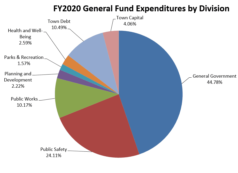 FY2020 General Fund Expenditures by Division