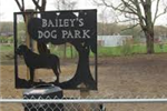 Dog Park